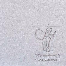 Load image into Gallery viewer, Mammoth Sample Wheelthrowing Clay Box - Chicago